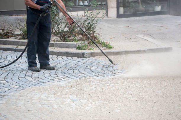 Best Brick and Stone Cleaning in Lexington, VA