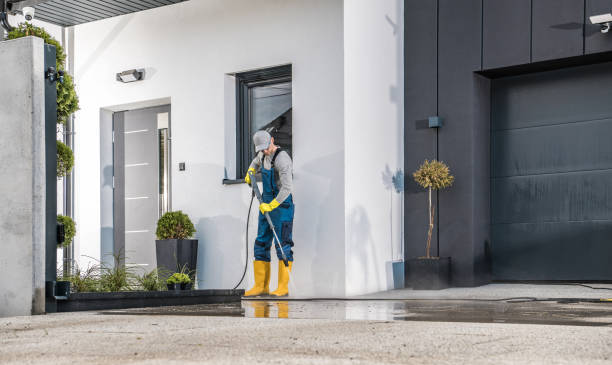 Best Roof Cleaning and Mildew Removal in Lexington, VA